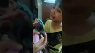 pet's care 😘#trending #funny #petlover#care#vlog#viral