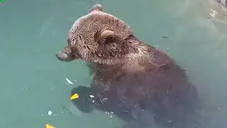 Старое видео с Мансуром 8