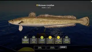 Мольва голубая трофей🍀Русская рыбалка 4🍀РР4🍀RF4🍀Сильный пилкинг🍀