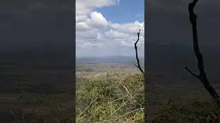 just enjoy the view #viral #reel #foryou #landscape #peaceful #peace #love