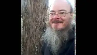 adam spong blog looking for  perfect sunrise tree for daily Jessika`s wake up