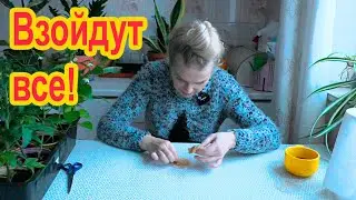 Как пробудить семена?