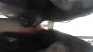 Niñas fresas Cagando el palo