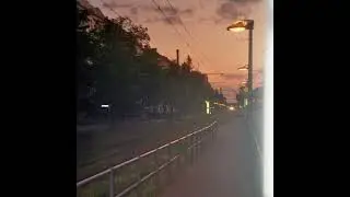 nobis - Gauner