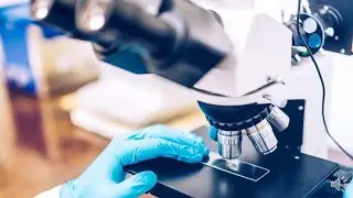 Petrography