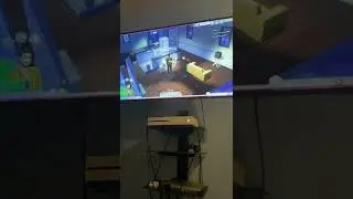 A Guide on How to stop game from Lagging in The Sims4  