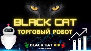 Торговый робот. Тесты. Форекс. Валюта