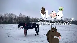 Vlog! Поехали верхом в поля!