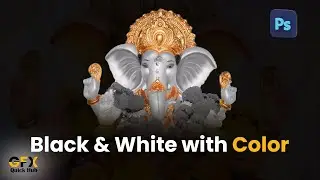 Creating Stunning Effects: Black & White with Color in Adobe Photoshop for Beginners  95k views