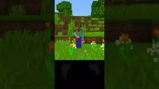 sigma steve