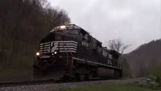 Branchlines of the N&W Volume 3: Levisa Branch