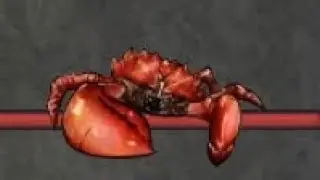 How many crabs can I defeat in 1 server in the strongest battlegrounds