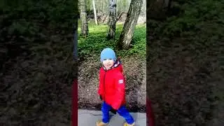 ARCHI-run forest-run 2020