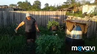 Деревенские будни в Лоркиной деревне😄