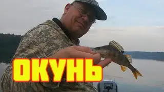 Рыбалка с друзьями (окунь). Часть 2