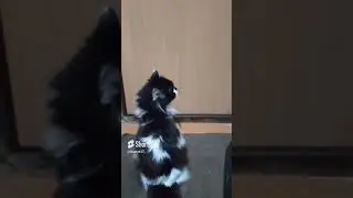Вечная память,мягких облачков ..