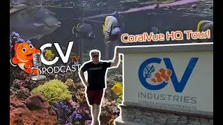 Take a Tour of CoralVue's Headquarters in Slidell, LA