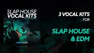 Slap House Vocal Kits (3 Vocal Kits, Loops, Shots, MIDI, Presets for Serum & Spire) - Sample Pack