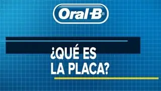 ¿Qué es la placa?