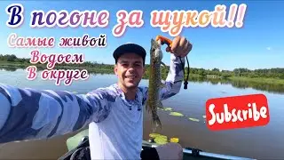 РАЗВЕДКА на новом водоеме или как Антон ловил щуку
