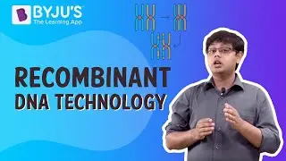 Recombinant DNA Technology Process