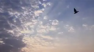Early Morning Beautiful Sunrise and Clouds Footage Video Free