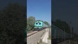Special train running towards sangaldan