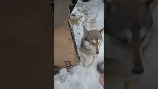 поздаровались