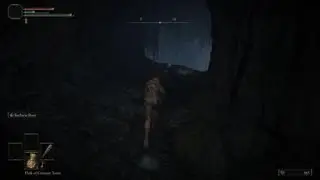 Lucky Soldier of Godrick attempt