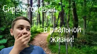 СИРЕНОГОЛОВЫЙ В РЕАЛЬНОЙ ЖИЗНИ!!! ЗАМАНИЛ В АНОМАЛЬНЫЙ ЛЕС!