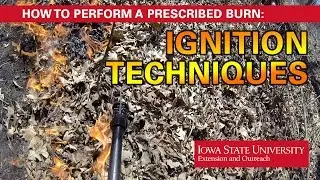 How to Perform a Prescribed Burn: Ignition Techniques