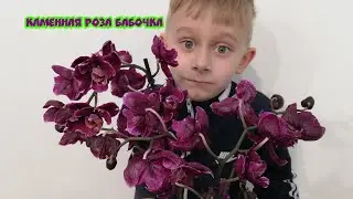 #jmp