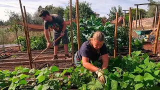 Stick It In And See What Happens Gardening - Planting Our Winter Garden