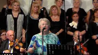 1 14 HİCAZ Sarı Kurdelem Sarı Suzan VAROL
