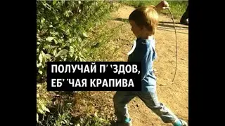 Когда куст крапивы отомстил