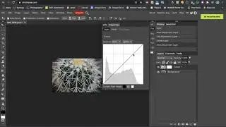 ADDING CONTRAST IN PHOTOPEA