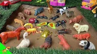 "Mud Adventures: Rescuing Wild & insect Animals! 🐼🐯🐘 Learn Fun Facts!