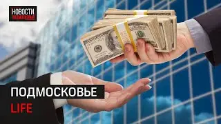 Финансовая поддержка бизнесменов и будни богородских волонтёров: Подмосковье LIFE