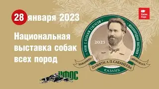 28.02.2023 выставка «Памяти Сабанеева 2023» ЧРКФ
