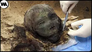 Proof That Cleopatra Was Never Beautiful. The Cleopatra Artifact That Could Change History