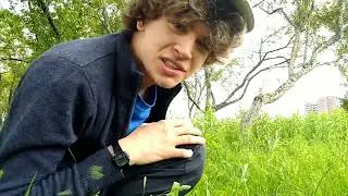 Tree Parkour #2