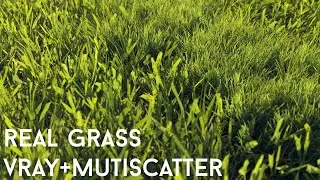 scanned real grass lawn 3d model