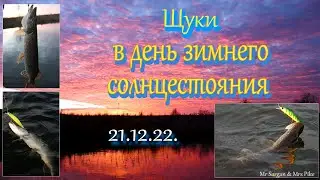Щуки в день зимнего солнцестояния. 21.12.22.