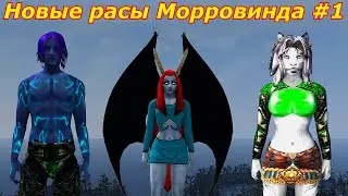 Новые расы для игрока в  Морровинд