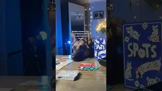 Собани в настолках