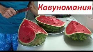 Как правильно резать арбуз?