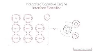 Veritas Cognitive Object Storage - Overview