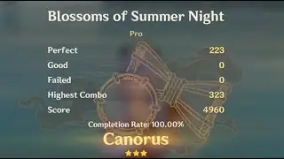 Blossoms of Summer Night Pro | Genshin Impact