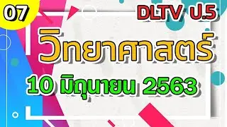 DLTV ป.5 วิทยาศาสตร์ วันที่ 10 มิ.ย. 2563 - ความสัมพันธ์สิ่งมีชีวิตกับสิ่งไม่มีชีวิตในแหล่งที่อยู่ 1