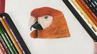 Unboxing Prismacolor Premier coloured pencil set #shorts